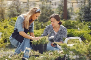 Superfoods w przydomowym ogródku: co rośnie szybko i jest najbardziej odżywcze